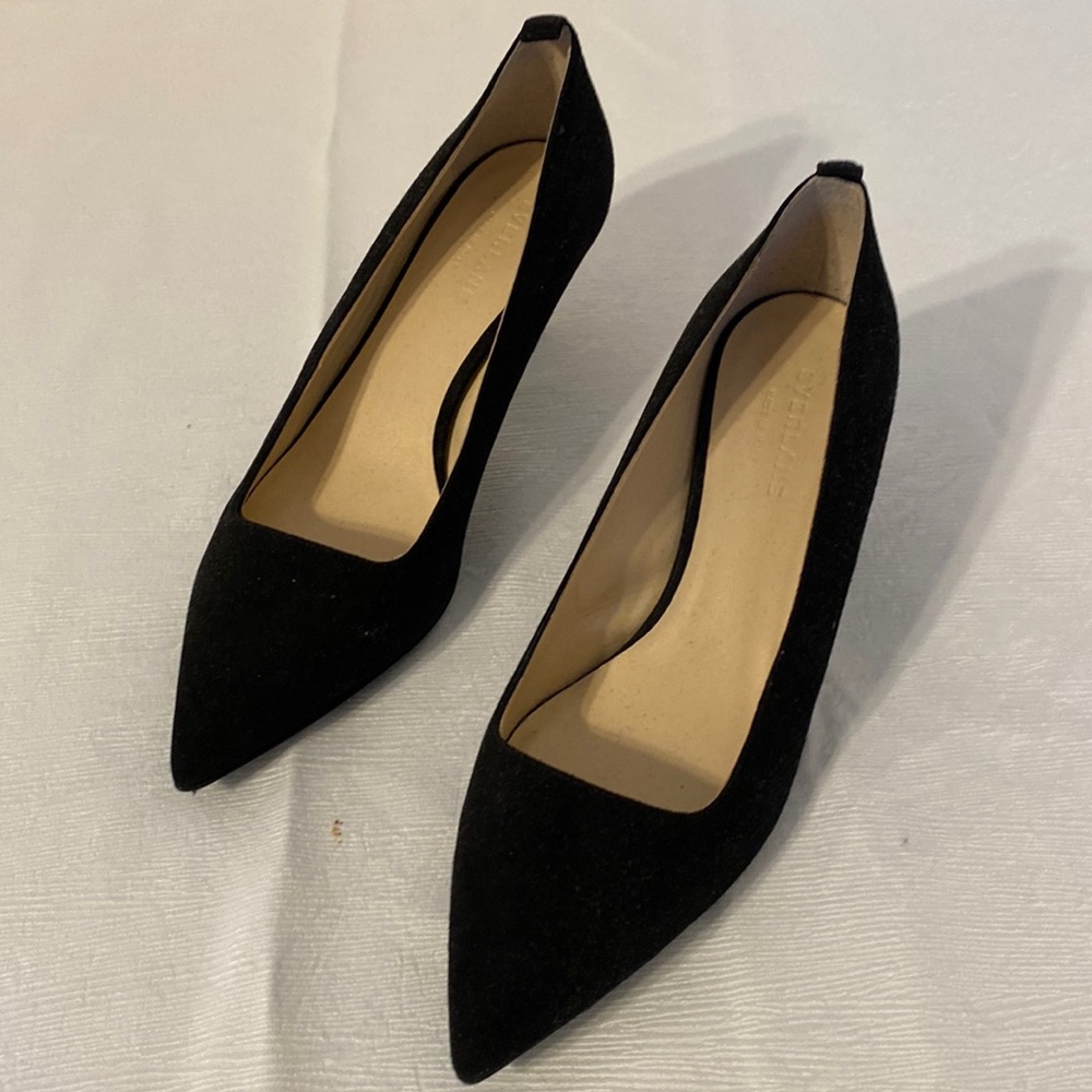 Everlane pointy black suede pumps.